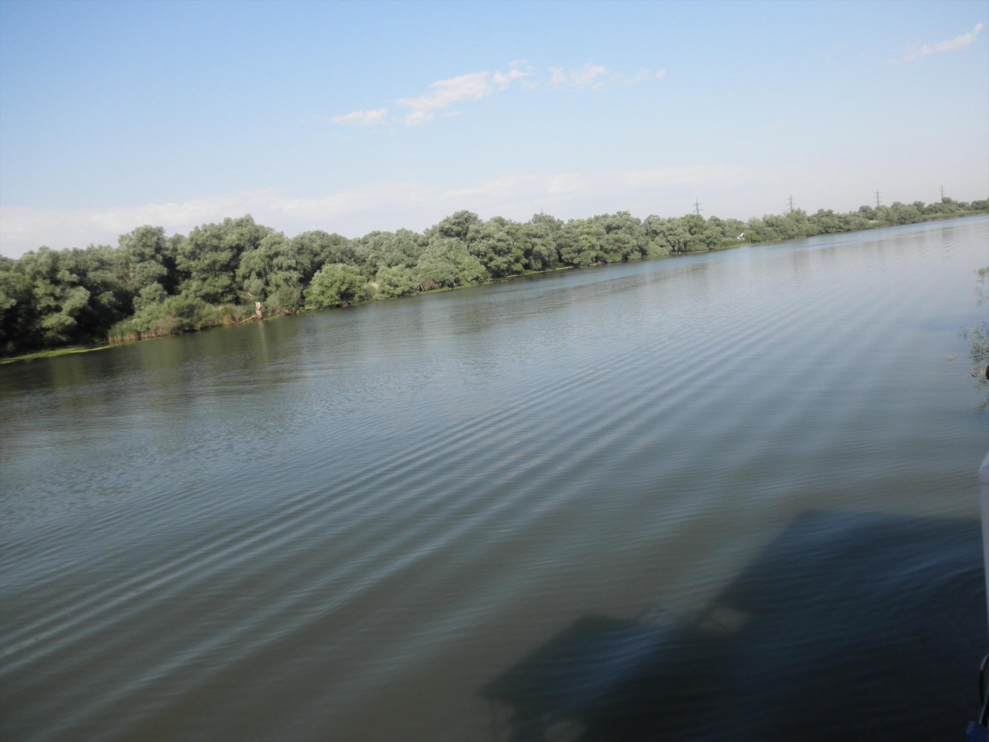 Delta - relaxare - p7280043.JPG